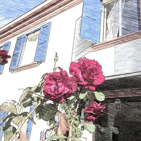 Duru Ayvalik