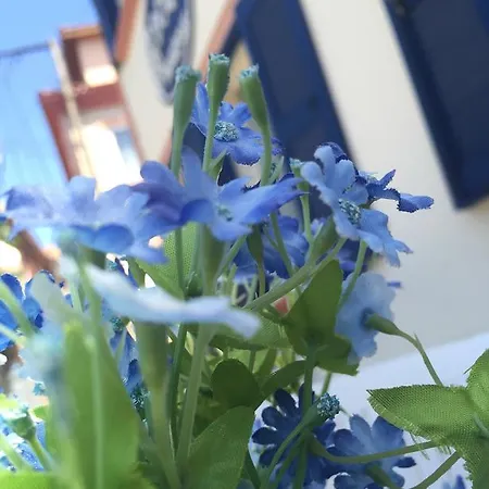 Hotel Duru Ayvalik