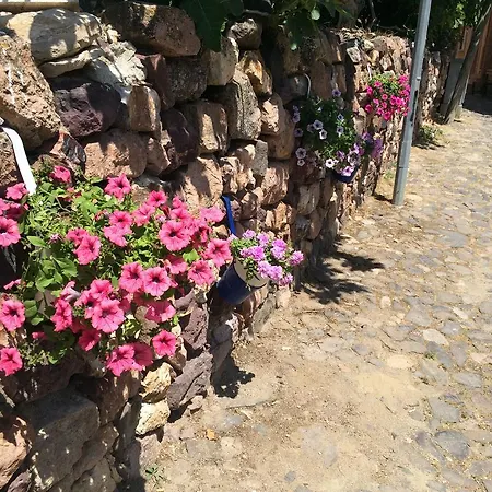 Hotel Duru Ayvalik