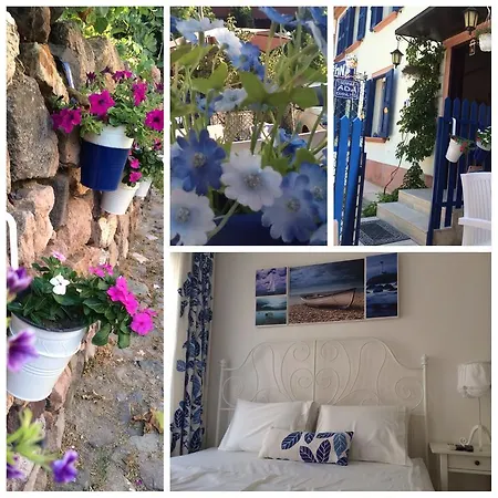 Hotel Duru *