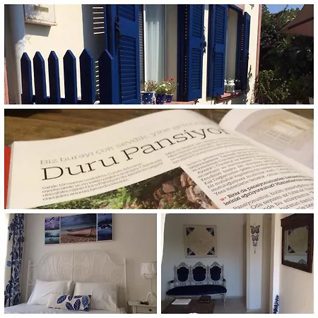 Duru Ayvalik