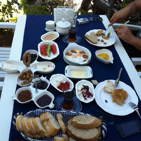 Hotel Duru *