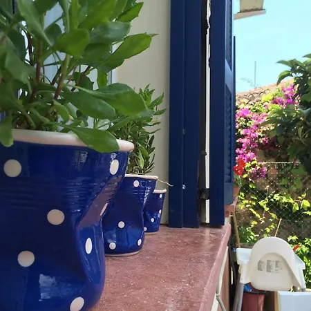 Otel Duru *